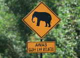 Schild Elefanten